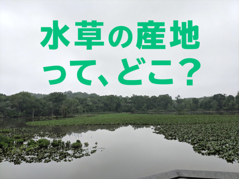 水草の産地って、どこの文字が入った湖沼の見出し画像