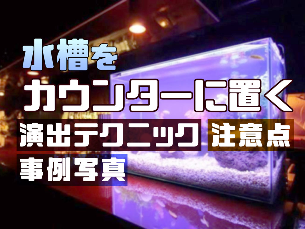 水槽をカウンターに置きたい!設置の注意点や演出方法・設置事例をご紹介のサムネイル画像