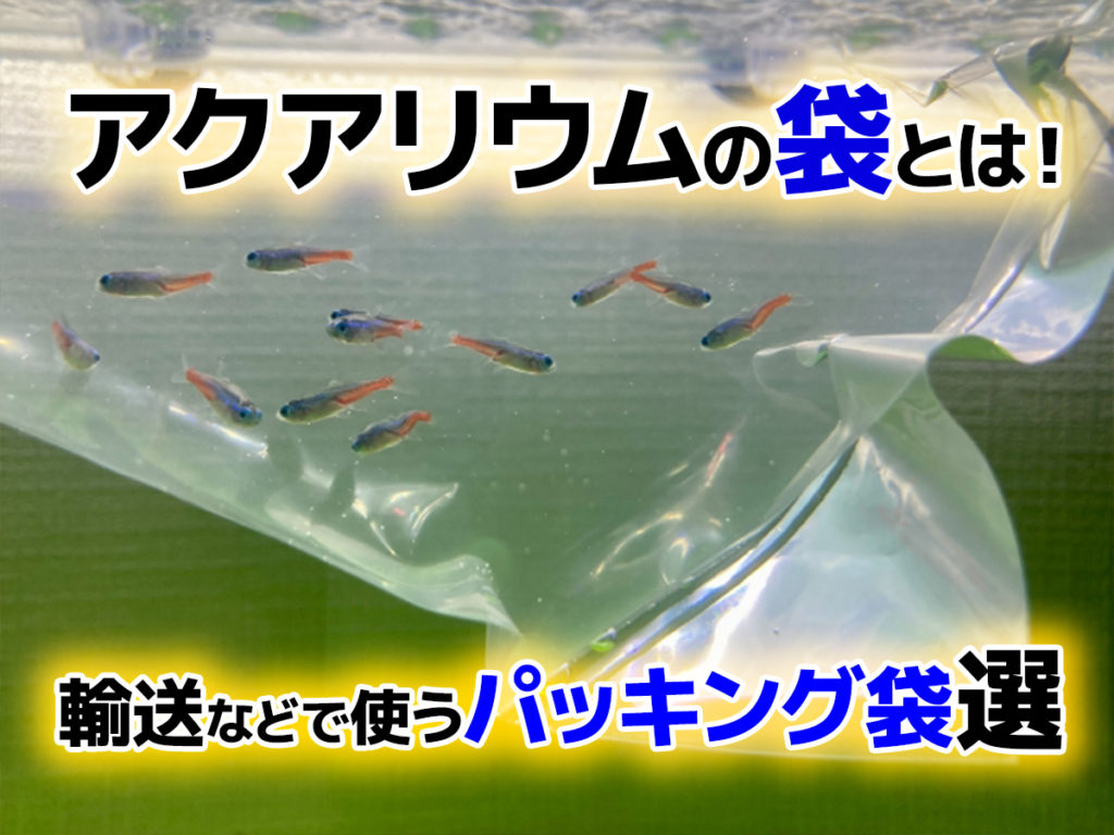 アクアリウムの袋とは!輸送・掃除などで使うパッキング袋7選を紹介のサムネイル画像