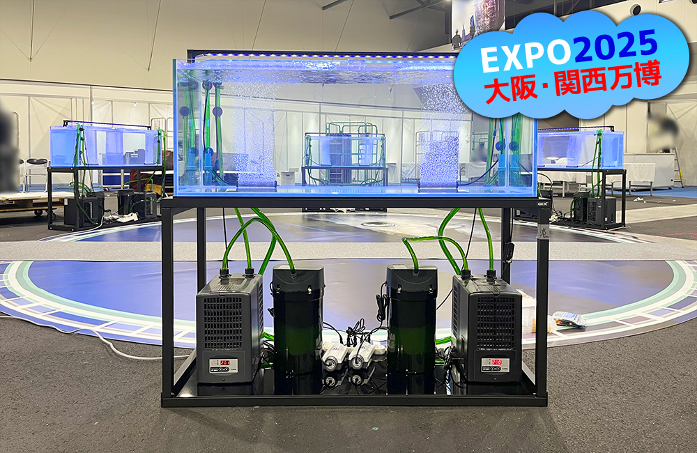 大阪・関西万博EXPO2025の文字と大型水槽設備