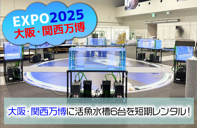 大阪・関西万博にいけす活魚水槽6台を短期レンタル・メンテナンス管理! 水槽画像1