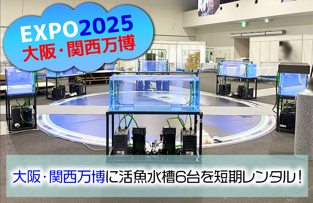 大阪・関西万博にいけす活魚水槽6台を短期レンタル・メンテナンス管理!