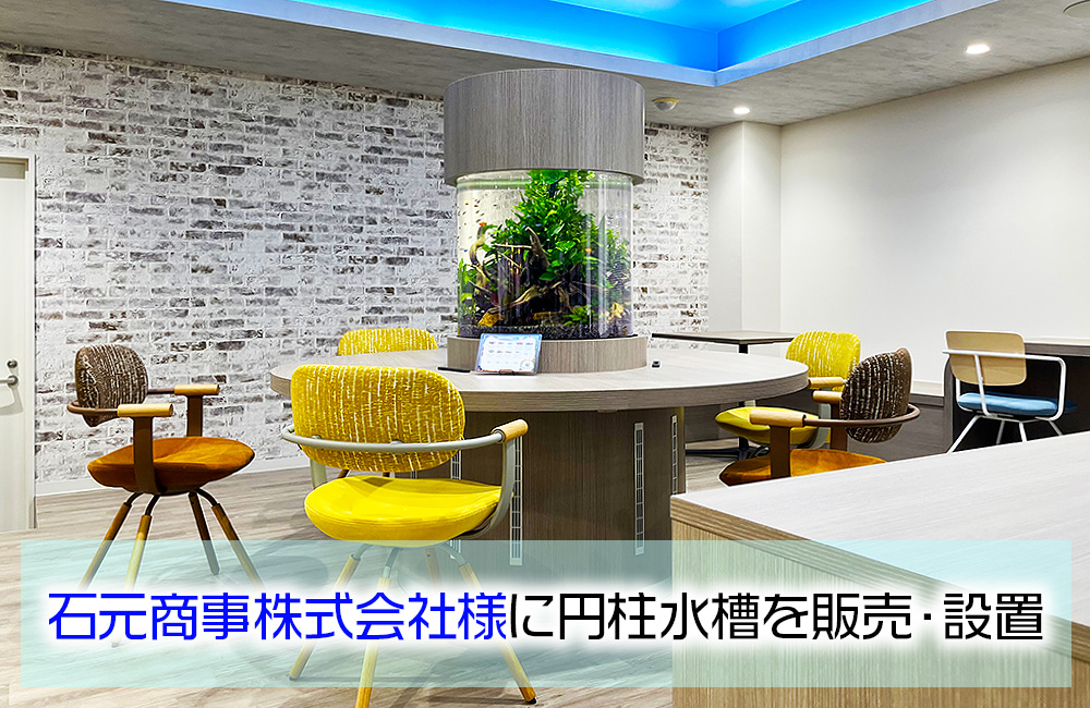 石元商事株式会社様のオフィスに円柱水槽を販売・メンテナンス!のサムネイル画像