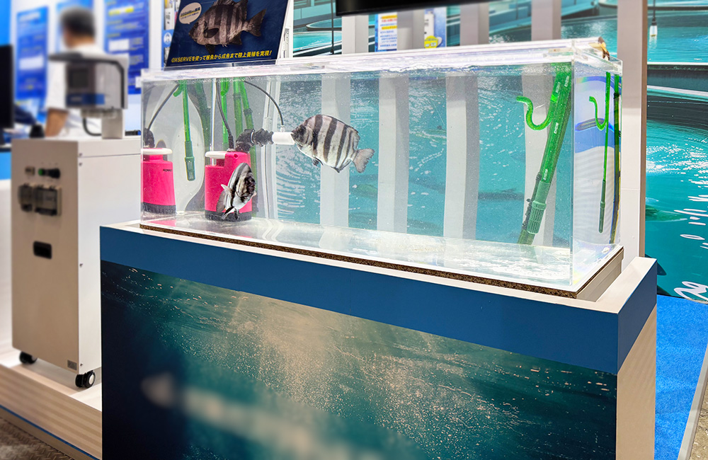 縞模様の魚が泳ぐ展示用の大型アクリル水槽と周辺機器