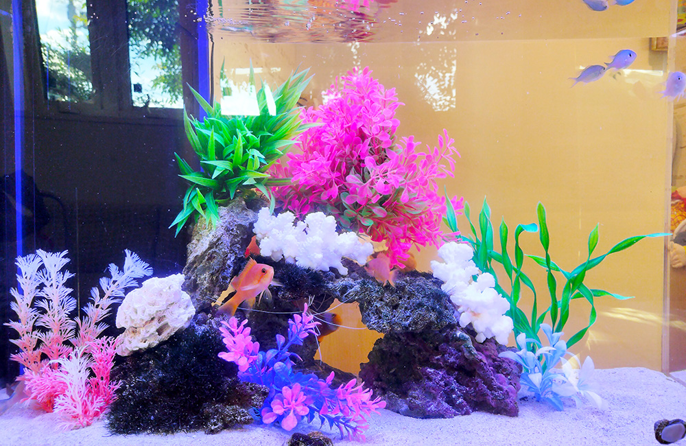カラフルな人工水草と岩を配置した海水魚水槽のレイアウト
