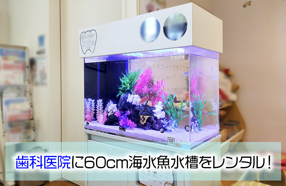 歯科医院様の60cm海水魚水槽!水槽レンタル9年目の様子のサムネイル画像