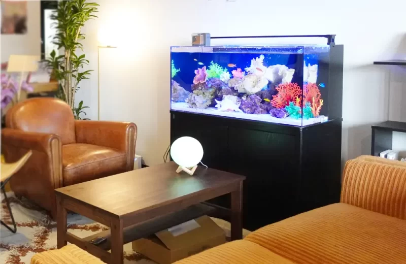 リビングに設置された大型海水魚水槽とソファセット