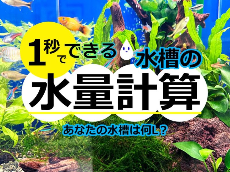 1秒でできる水槽の水量計算の見出し画像