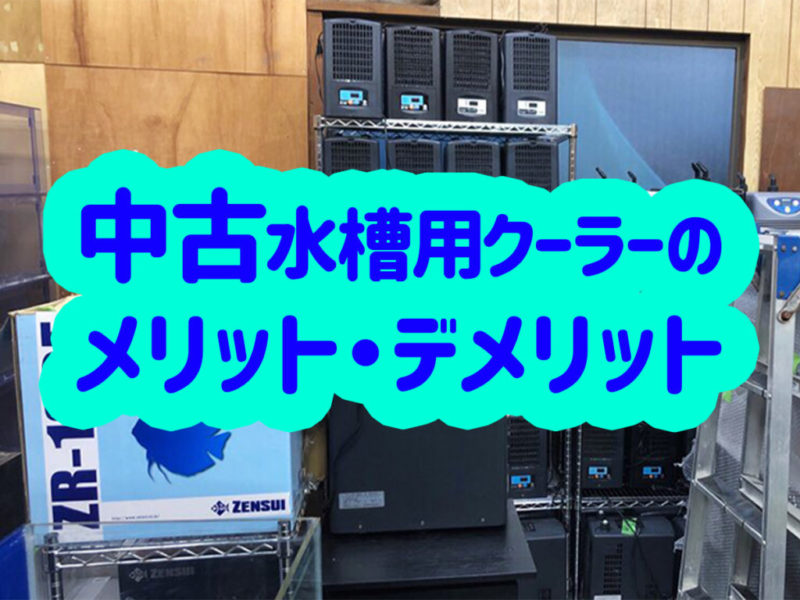 中古水槽用クーラーのメリット・デメリットの見出し画像
