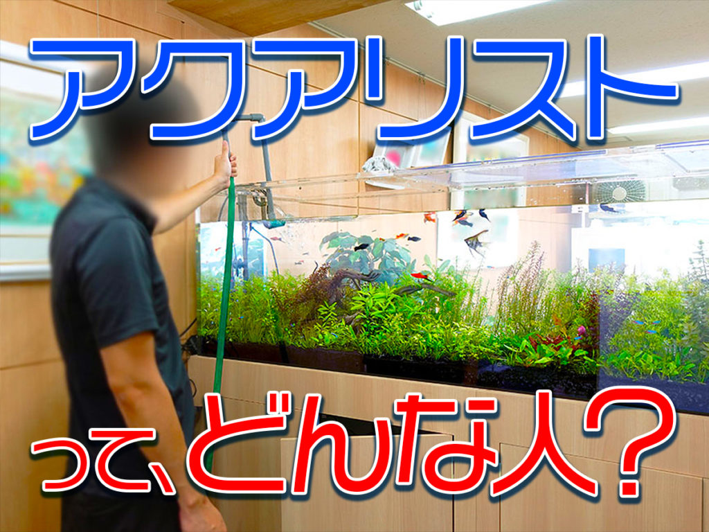アクアリストとはどんな人？趣味か職業か？養成する専門学校もあります！のサムネイル画像