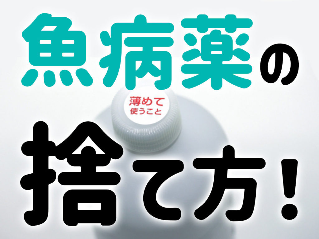 魚病薬の捨て方!メチレンブルーやグリーンFなどを安全に処分する方法のサムネイル画像
