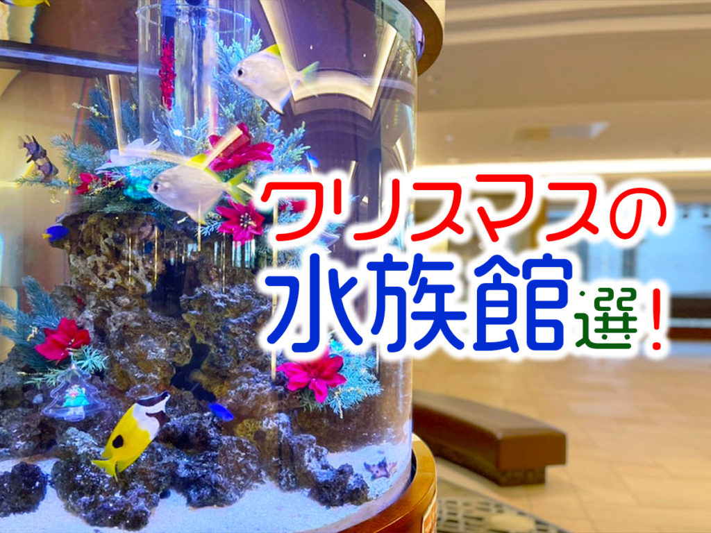 クリスマスの水族館10選!デート・子連れ・旅先・おひとり様で楽しめるイベントのサムネイル画像