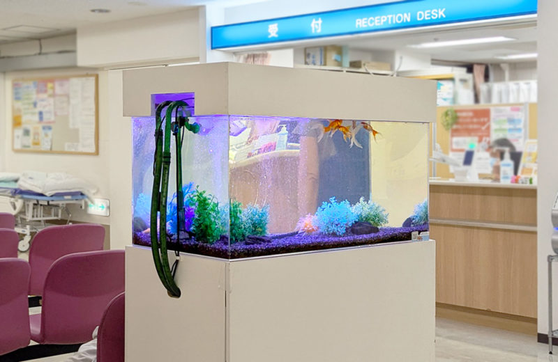 病院受付に設置された金魚が泳ぐ水槽のレイアウト