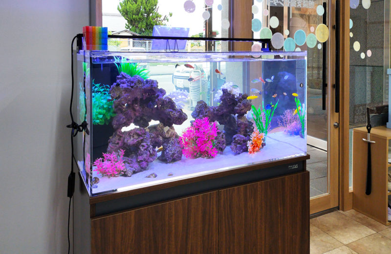 岩組とカラフルな人工水草を配置した大型の熱帯魚水槽