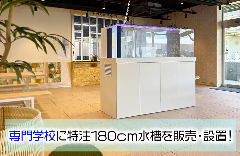 専門学校様にオーダーメイド水槽を納品・設置!180cmの大型水槽一式を販売