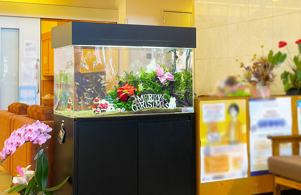 クリスマス装飾を施した水草水槽と黒い水槽台の設置風景