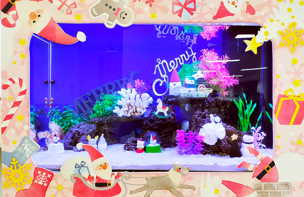 クリスマス装飾を施した青い照明の海水魚水槽