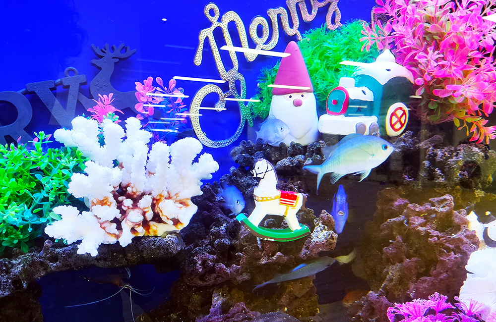 クリスマス装飾とサンゴ模型のある海水魚水槽内景
