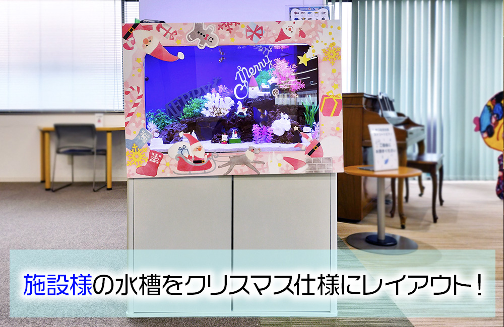 施設様の水槽をクリスマス仕様にレイアウトの見出し画像