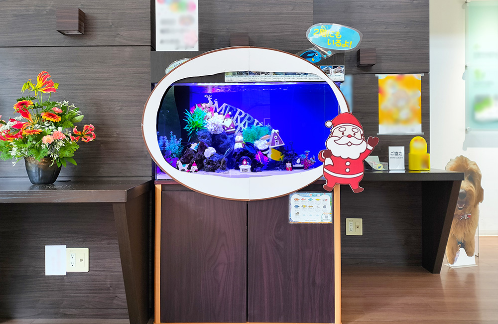 サンタの装飾を施したクリスマス仕様の海水魚水槽