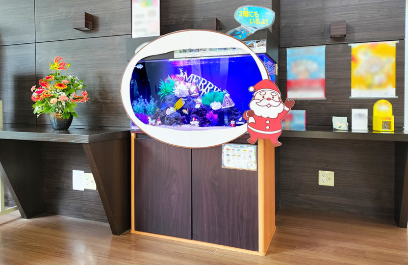 施設様のクリスマス水槽2台目!サンタのオブジェがかわいいアクアリウム 水槽画像2