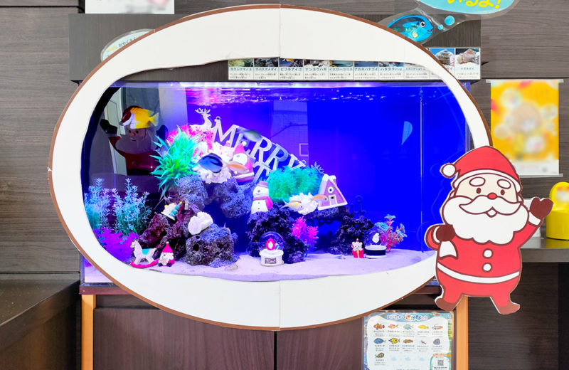 施設様のクリスマス水槽2台目!サンタのオブジェがかわいいアクアリウム 水槽画像3