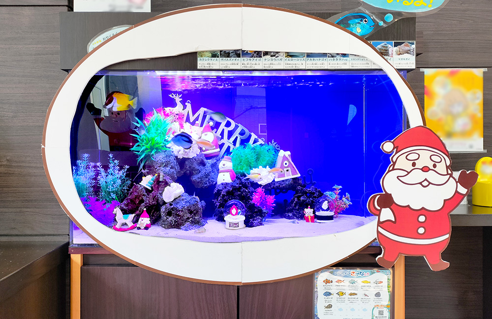サンタの装飾を施したクリスマス仕様の海水魚水槽