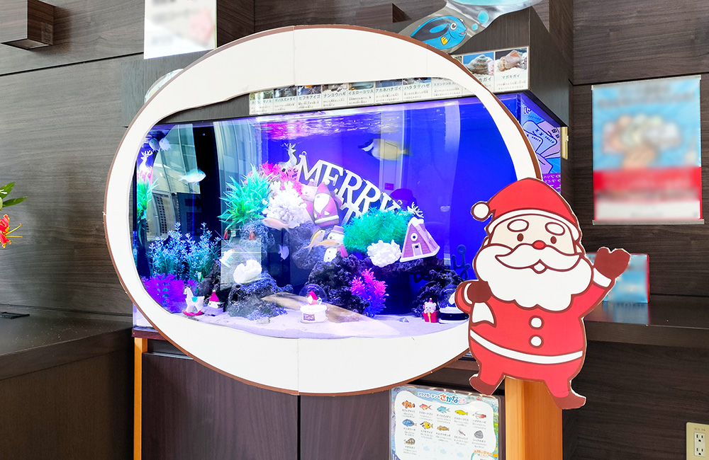 サンタの装飾を施したクリスマス仕様の海水魚水槽