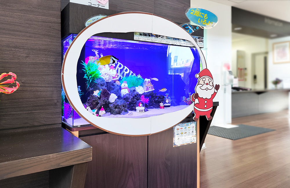 サンタの装飾があるクリスマス仕様の海水魚水槽