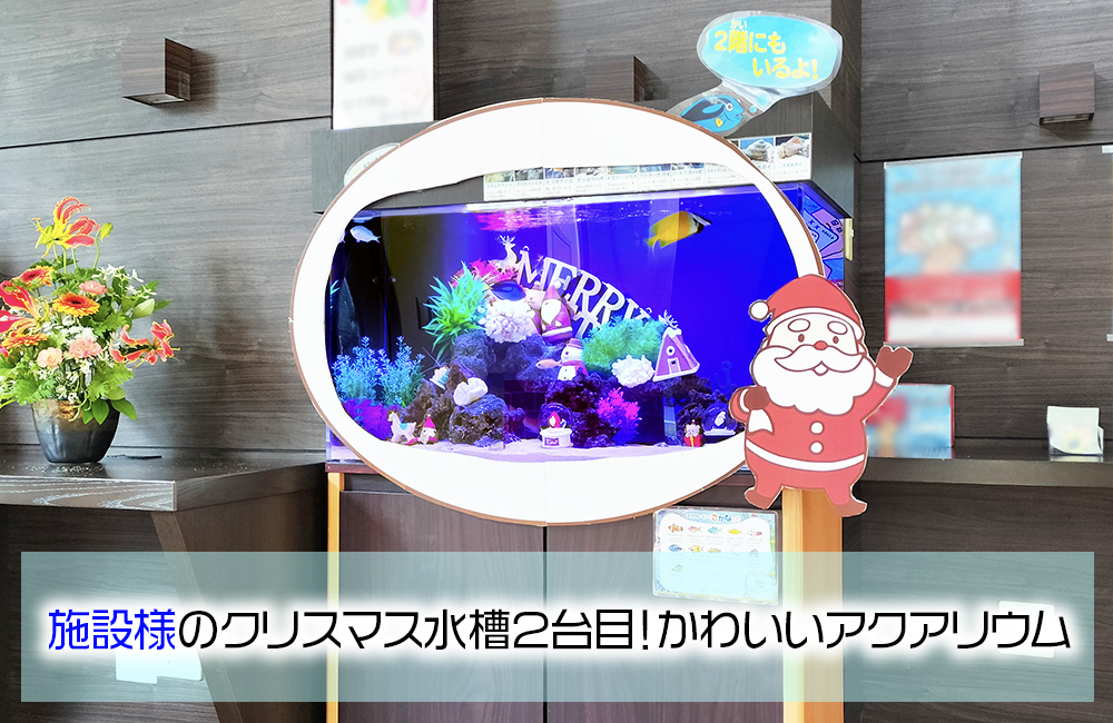施設様のクリスマス水槽2台目！サンタのオブジェがかわいいアクアリウム メイン画像