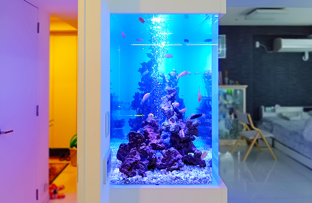 青い照明の海水魚水槽と岩組みレイアウトの室内設置例