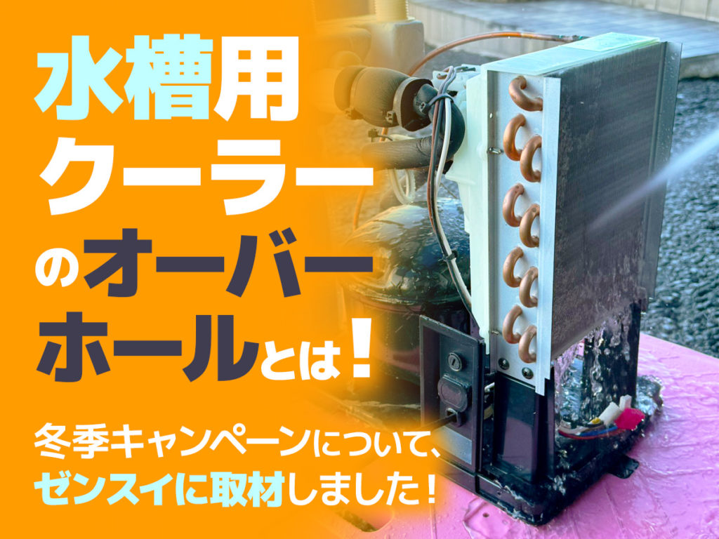 水槽用クーラーのオーバーホールとは!点検のメリットやキャンペーンを取材しましたのサムネイル画像