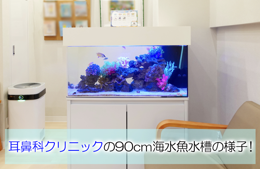 クリニックの90cm水槽!海水アクアリウムのレンタルについて