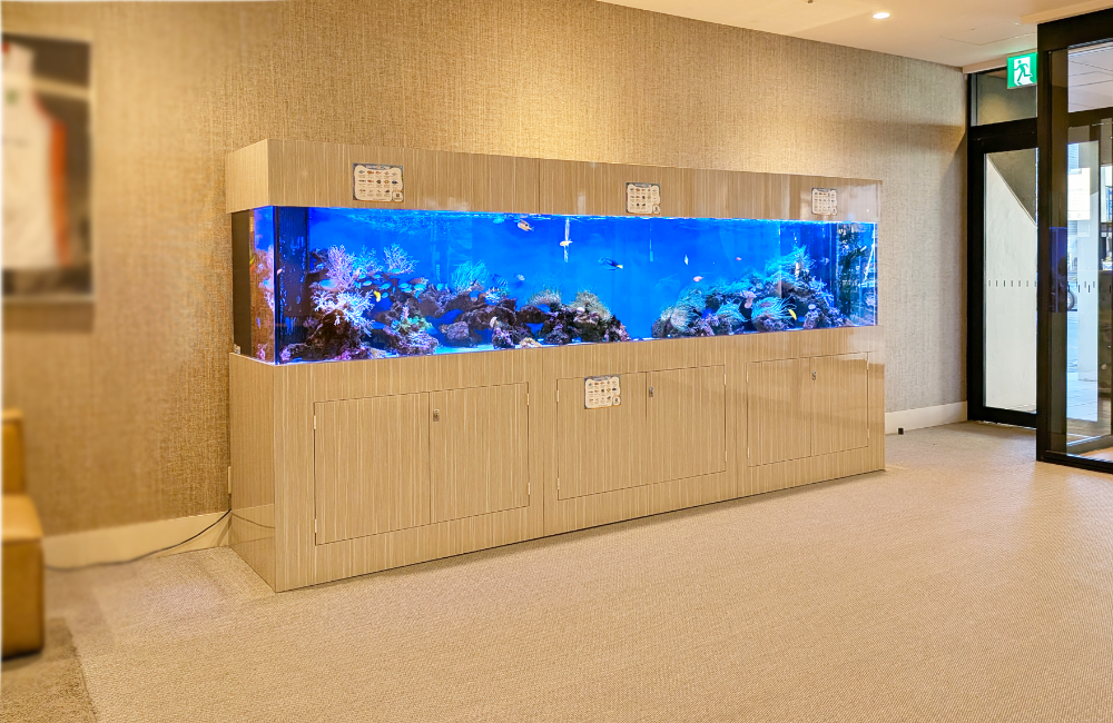 施設ロビーに設置された大型の海水魚水槽と木目調の台座
