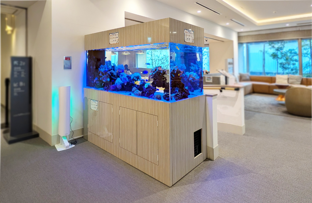 ロビーに設置された大型の海水魚水槽と木目調のキャビネット