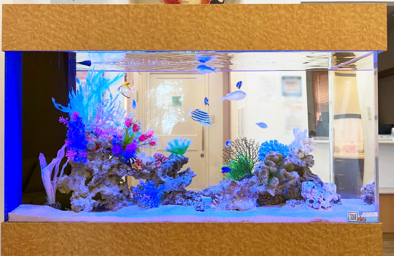 オアシス脳神経クリニック様の120cm海水魚水槽!16年目の様子 水槽画像3