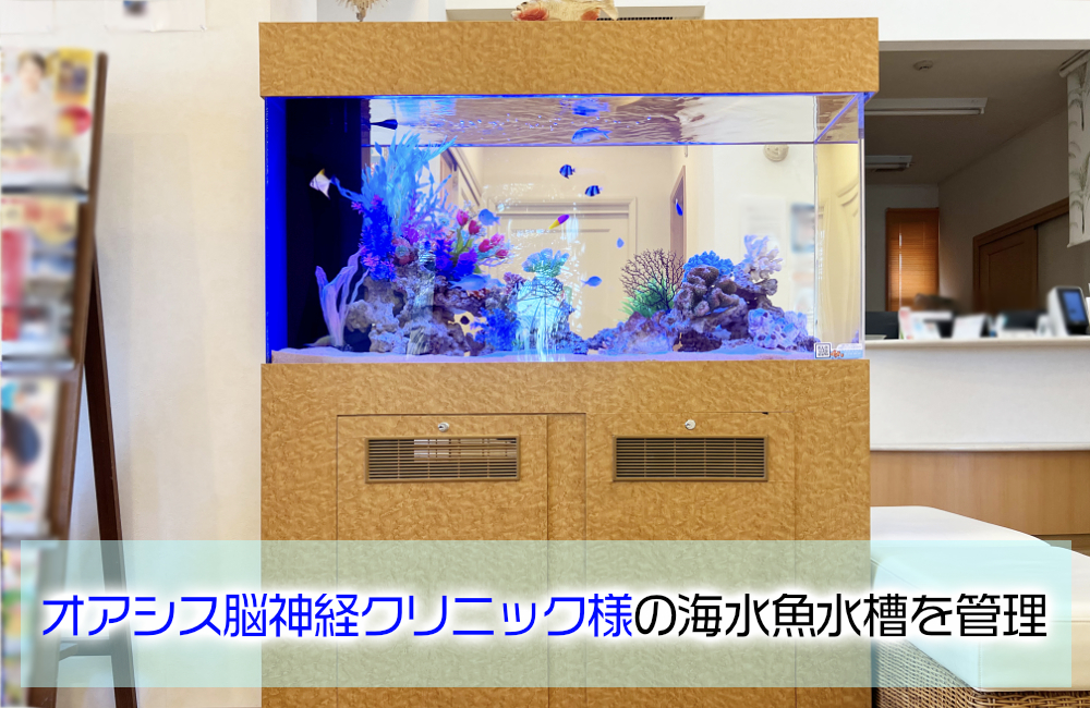 オアシス脳神経クリニック様の120cm海水魚水槽！16年目の様子のサムネイル画像