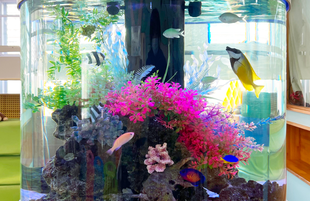 円柱水槽を泳ぐ海水魚とピンクの人工水草のレイアウト