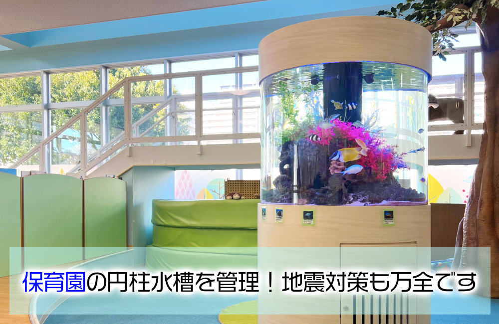 保育園様の円柱水槽！海水魚が泳ぐ耐震設計のアクアリウム・9年目の様子