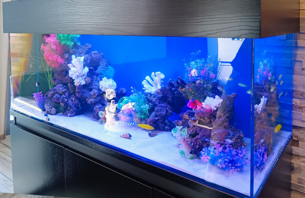 青い背景に白いサンゴと岩を配置した海水魚水槽の全景