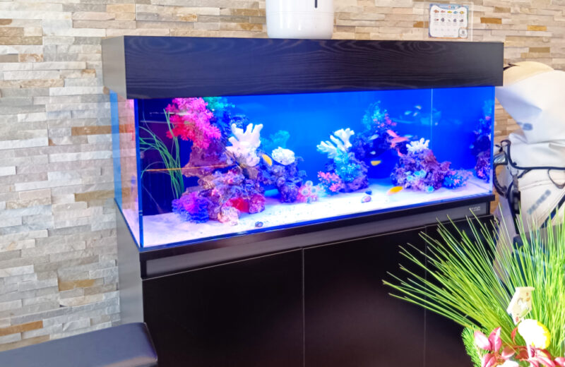 企業様のオフィスに海水魚水槽を設置!天蓋がおしゃれな120cm水槽 水槽画像5