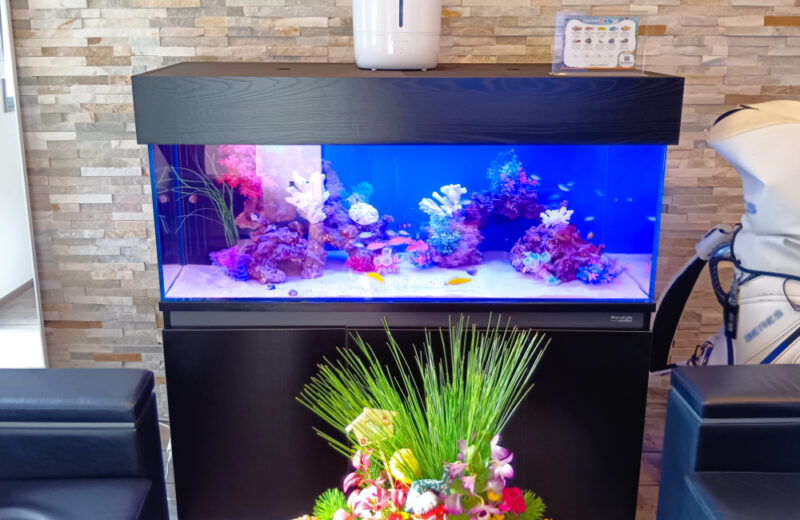 企業様のオフィスに海水魚水槽を設置!天蓋がおしゃれな120cm水槽 水槽画像2