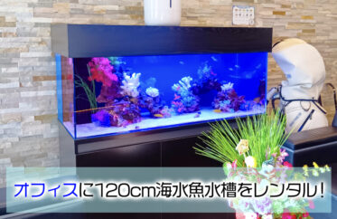 企業様のオフィスに海水魚水槽を設置！天蓋がおしゃれな120cm水槽