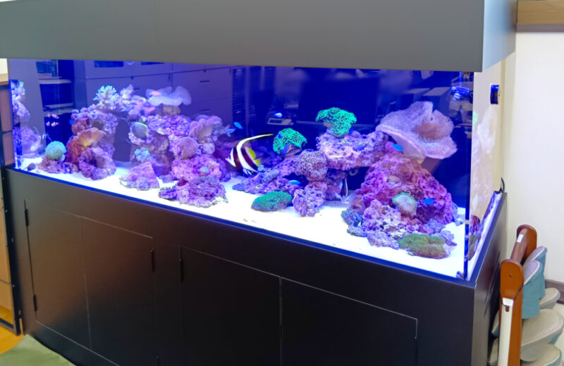 企業様のオフィスに特注サンゴ水槽を販売!180cm水槽のワイドな美しさ 水槽画像5