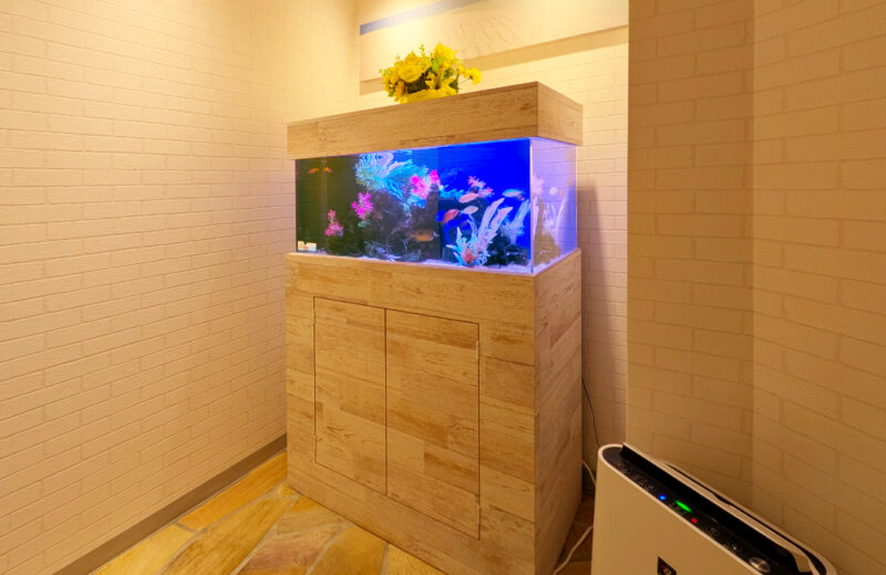 豊和法律事務所様の90cm海水魚水槽・その後！爽やかなマリンアクアリウム 水槽画像２
