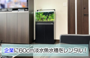 企業様の60cm淡水魚水槽！フロアに溶け込むアクアリウム