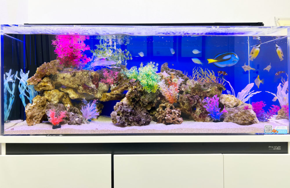 青い背景に岩とカラフルな人工水草を配置した海水魚水槽