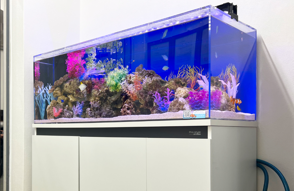 青い背景とカラフルな人工サンゴを配置した海水魚水槽