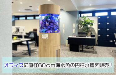 企業様に直径60cm円柱水槽を販売！設置からメンテナンスまでお任せください