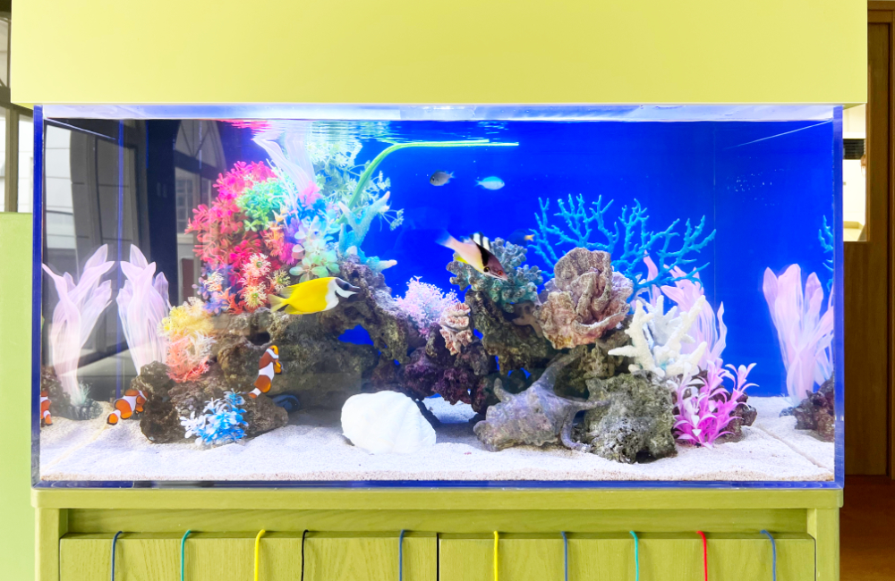 カラフルな人工サンゴと海水魚が泳ぐ大型水槽の全景